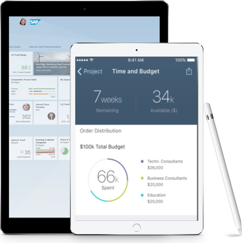 AGIL Professional Services Screenshot