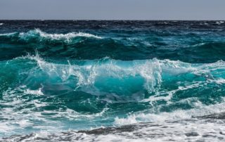 Meer