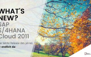 SAP S4HANA Cloud 2011