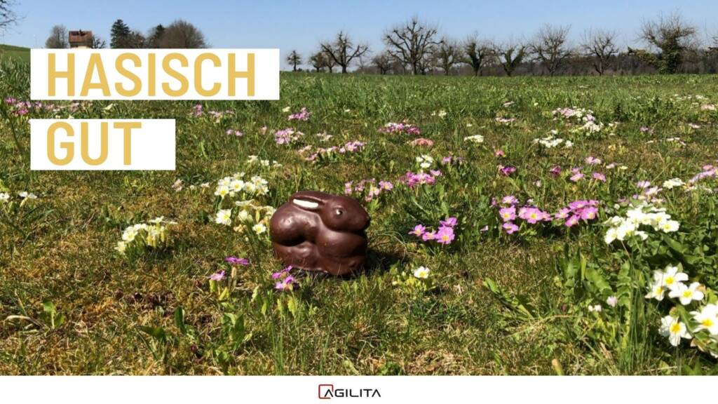 Hase