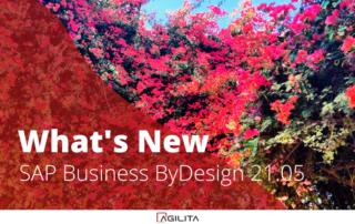 SAP BusinessByDesign 20.05-6