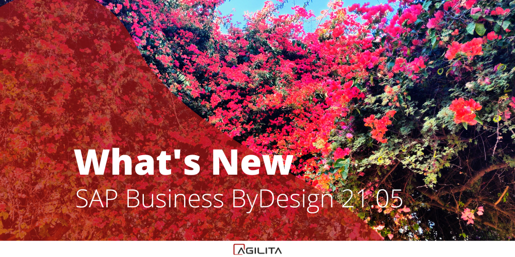 SAP BusinessByDesign 20.05-6 SAP BusinessByDesign 20.05-6