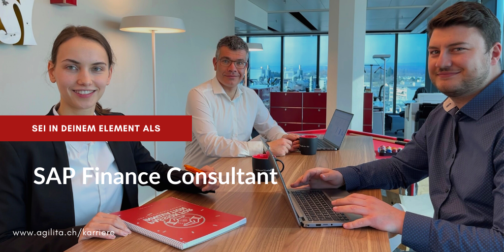 SAP Finance Consultant SAP Finance Consultant