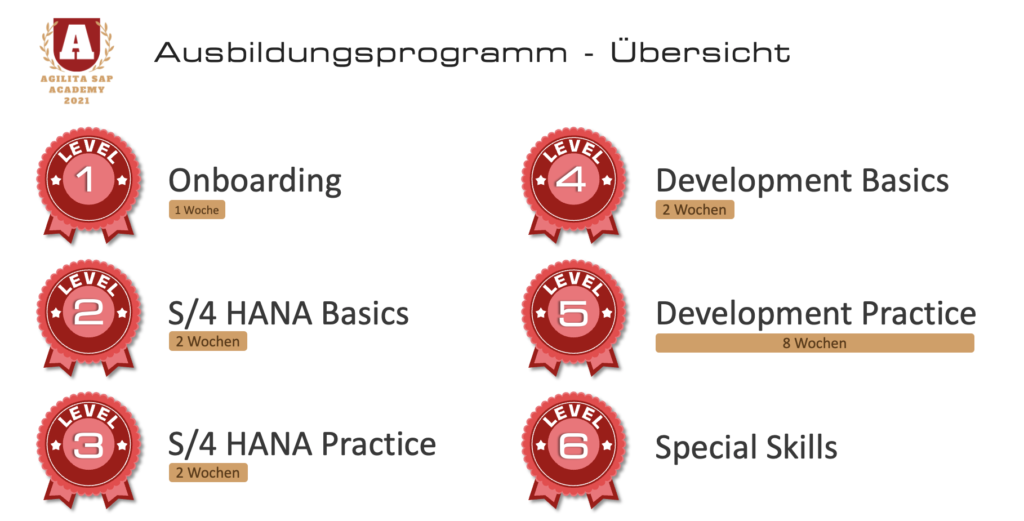 Level SAP Agilita Academy Level SAP Agilita Academy