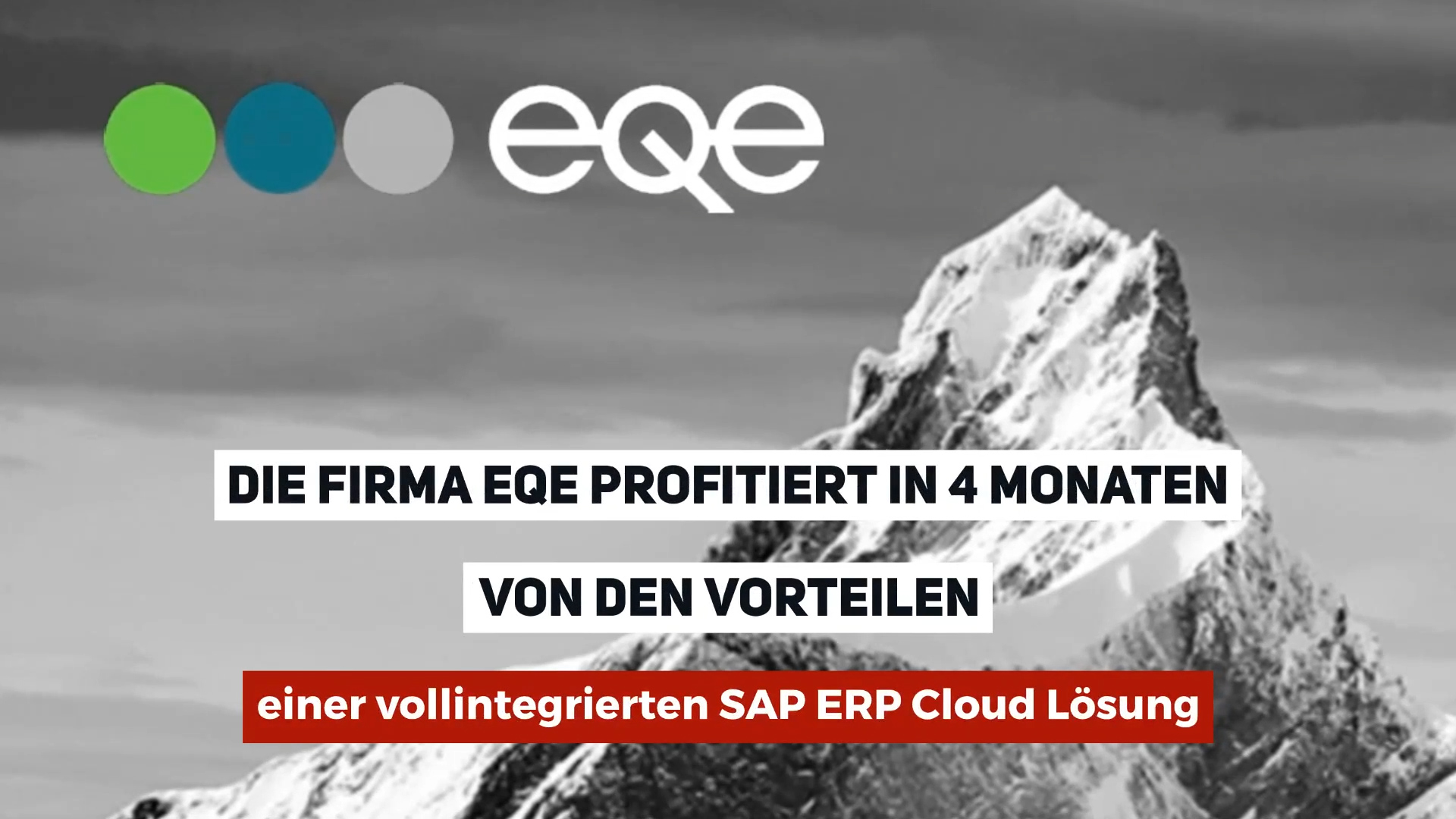 eqe SAP Cloud ERP