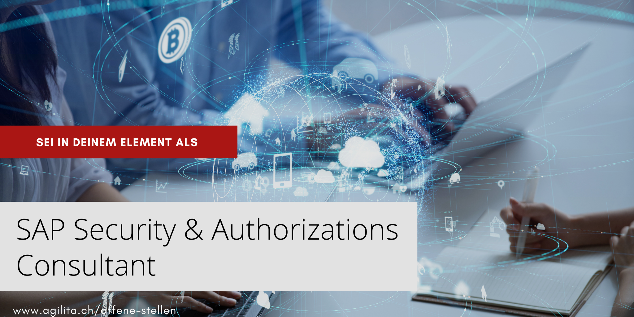 SAP Security & Authorizations Consultant