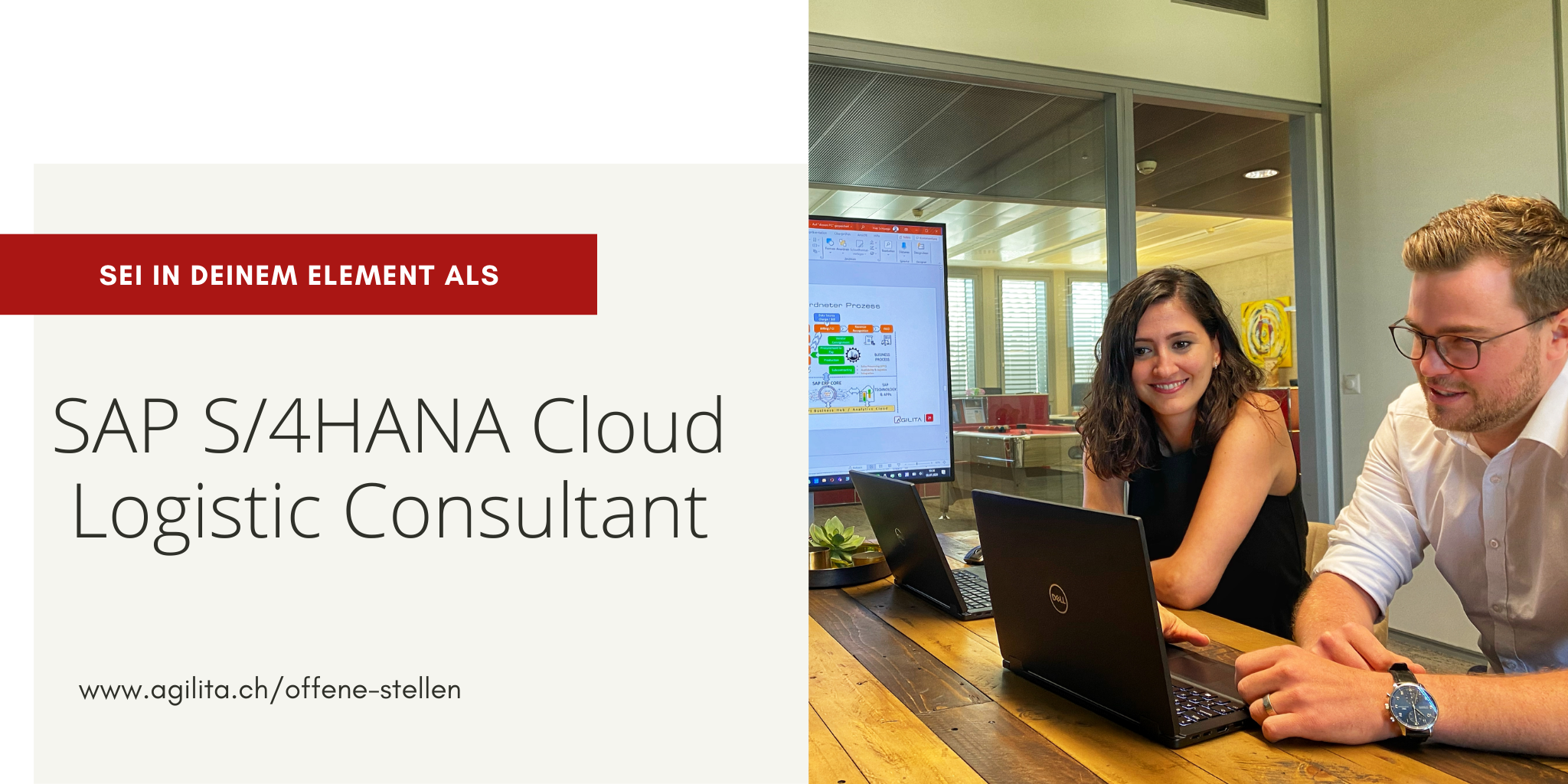 SAP S/4HANA Cloud Logistic Consultant