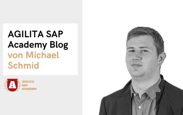 AGI Academy - Michael Schmid